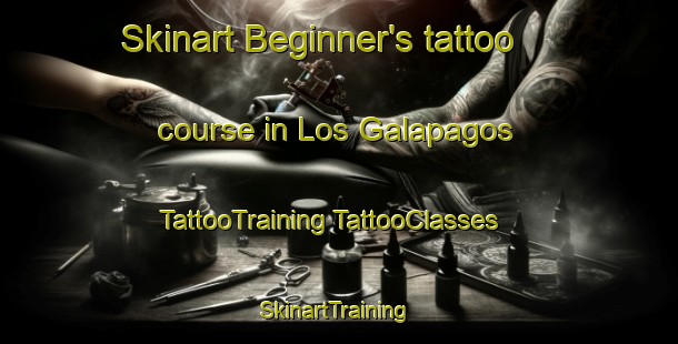 Skinart Beginner's tattoo course in Los Galapagos | #TattooTraining #TattooClasses #SkinartTraining-Mexico