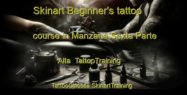 Skinart Beginner's tattoo course in Manzana Sexta Parte Alta | #TattooTraining #TattooClasses #SkinartTraining-Mexico