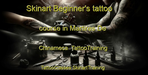 Skinart Beginner's tattoo course in Martires De Chinameca | #TattooTraining #TattooClasses #SkinartTraining-Mexico