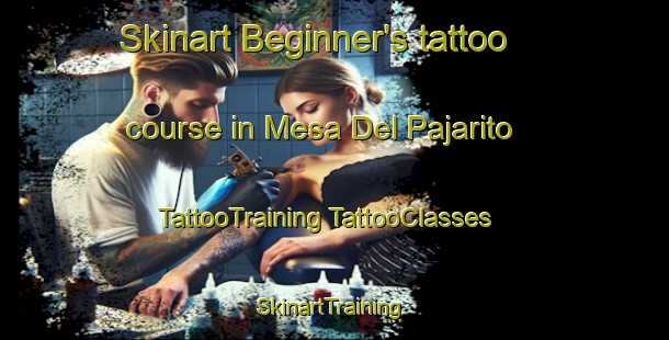 Skinart Beginner's tattoo course in Mesa Del Pajarito | #TattooTraining #TattooClasses #SkinartTraining-Mexico