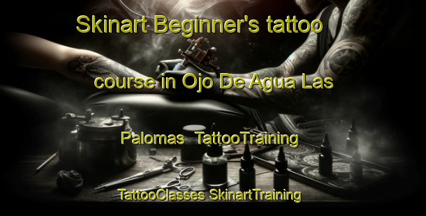 Skinart Beginner's tattoo course in Ojo De Agua Las Palomas | #TattooTraining #TattooClasses #SkinartTraining-Mexico