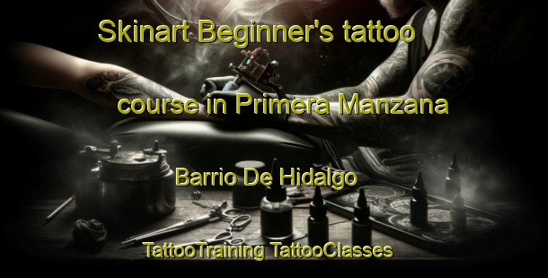 Skinart Beginner's tattoo course in Primera Manzana Barrio De Hidalgo | #TattooTraining #TattooClasses #SkinartTraining-Mexico