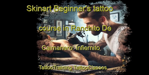 Skinart Beginner's tattoo course in Ranchito De Caimanero  Infiernito | #TattooTraining #TattooClasses #SkinartTraining-Mexico