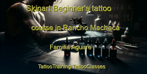 Skinart Beginner's tattoo course in Rancho Machaca  Familia Aguirre | #TattooTraining #TattooClasses #SkinartTraining-Mexico