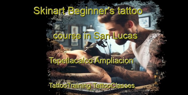 Skinart Beginner's tattoo course in San Lucas Tepetlacalco Ampliacion | #TattooTraining #TattooClasses #SkinartTraining-Mexico