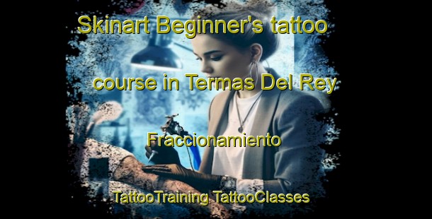 Skinart Beginner's tattoo course in Termas Del Rey  Fraccionamiento | #TattooTraining #TattooClasses #SkinartTraining-Mexico