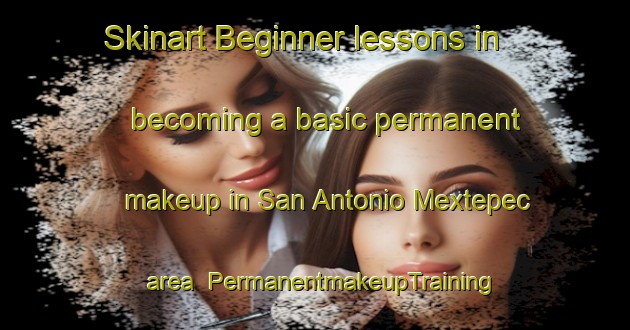 Skinart Beginner lessons in becoming a basic permanent makeup in San Antonio Mextepec area | PermanentmakeupTraining | PermanentmakeupClasses | SkinartTraining-Mexico