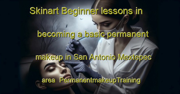 Skinart Beginner lessons in becoming a basic permanent makeup in San Antonio Mextepec area | PermanentmakeupTraining | PermanentmakeupClasses | SkinartTraining-Mexico