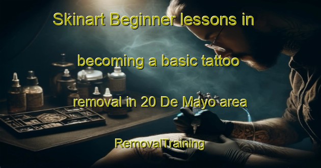 Skinart Beginner lessons in becoming a basic tattoo removal in 20 De Mayo area | RemovalTraining | RemovalClasses | SkinartTraining-Mexico