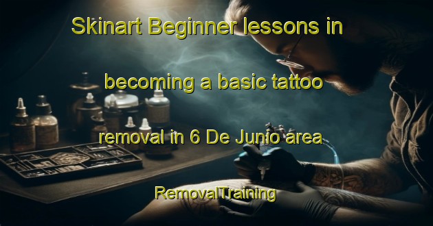 Skinart Beginner lessons in becoming a basic tattoo removal in 6 De Junio area | RemovalTraining | RemovalClasses | SkinartTraining-Mexico
