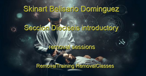 Skinart Belisario Dominguez Seccion Dieciseis introductory removal sessions | #RemovalTraining #RemovalClasses #SkinartTraining-Mexico