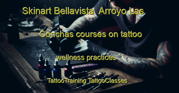 Skinart Bellavista  Arroyo Las Conchas courses on tattoo wellness practices | #TattooTraining #TattooClasses #SkinartTraining-Mexico