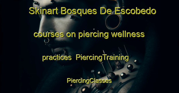 Skinart Bosques De Escobedo courses on piercing wellness practices | #PiercingTraining #PiercingClasses #SkinartTraining-Mexico