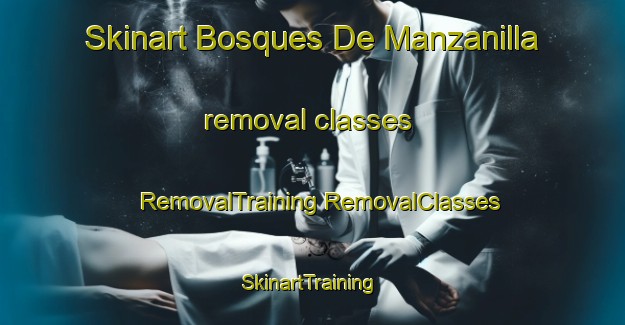 Skinart Bosques De Manzanilla removal classes | #RemovalTraining #RemovalClasses #SkinartTraining-Mexico