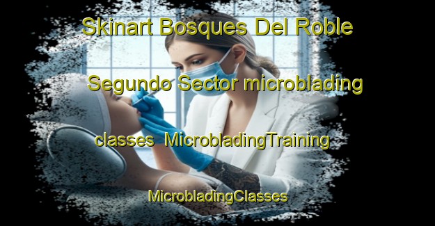 Skinart Bosques Del Roble Segundo Sector microblading classes | #MicrobladingTraining #MicrobladingClasses #SkinartTraining-Mexico