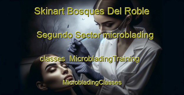 Skinart Bosques Del Roble Segundo Sector microblading classes | #MicrobladingTraining #MicrobladingClasses #SkinartTraining-Mexico