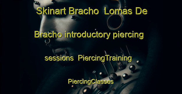 Skinart Bracho  Lomas De Bracho introductory piercing sessions | #PiercingTraining #PiercingClasses #SkinartTraining-Mexico