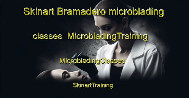 Skinart Bramadero microblading classes | MicrobladingTraining | MicrobladingClasses | SkinartTraining-Mexico