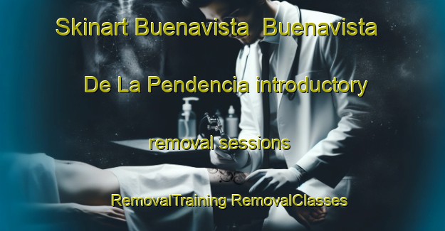 Skinart Buenavista  Buenavista De La Pendencia introductory removal sessions | #RemovalTraining #RemovalClasses #SkinartTraining-Mexico