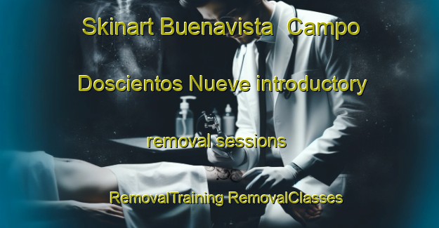 Skinart Buenavista  Campo Doscientos Nueve introductory removal sessions | #RemovalTraining #RemovalClasses #SkinartTraining-Mexico