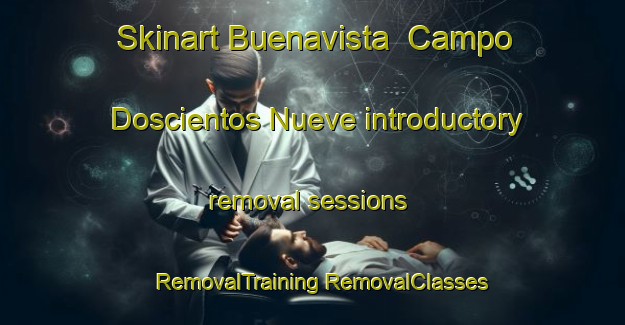 Skinart Buenavista  Campo Doscientos Nueve introductory removal sessions | #RemovalTraining #RemovalClasses #SkinartTraining-Mexico