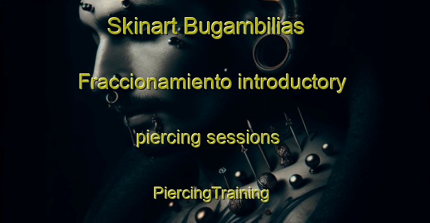 Skinart Bugambilias  Fraccionamiento introductory piercing sessions | #PiercingTraining #PiercingClasses #SkinartTraining-Mexico