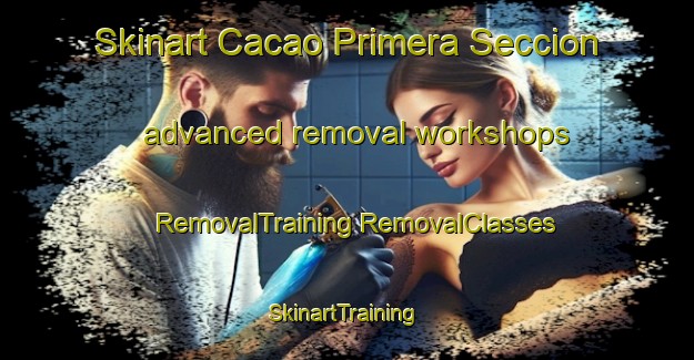 Skinart Cacao Primera Seccion advanced removal workshops | #RemovalTraining #RemovalClasses #SkinartTraining-Mexico