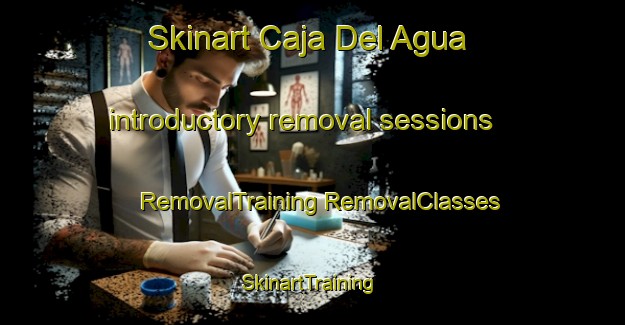 Skinart Caja Del Agua introductory removal sessions | #RemovalTraining #RemovalClasses #SkinartTraining-Mexico