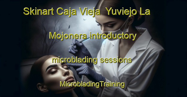 Skinart Caja Vieja  Yuviejo La Mojonera introductory microblading sessions | #MicrobladingTraining #MicrobladingClasses #SkinartTraining-Mexico