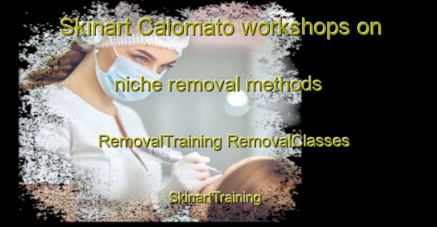 Skinart Calomato workshops on niche removal methods | #RemovalTraining #RemovalClasses #SkinartTraining-Mexico