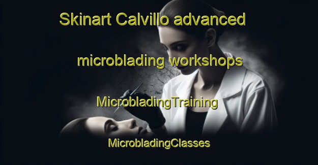 Skinart Calvillo advanced microblading workshops | #MicrobladingTraining #MicrobladingClasses #SkinartTraining-Mexico