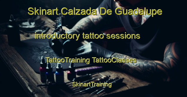 Skinart Calzada De Guadalupe introductory tattoo sessions | #TattooTraining #TattooClasses #SkinartTraining-Mexico