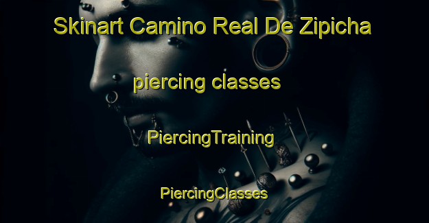 Skinart Camino Real De Zipicha piercing classes | #PiercingTraining #PiercingClasses #SkinartTraining-Mexico