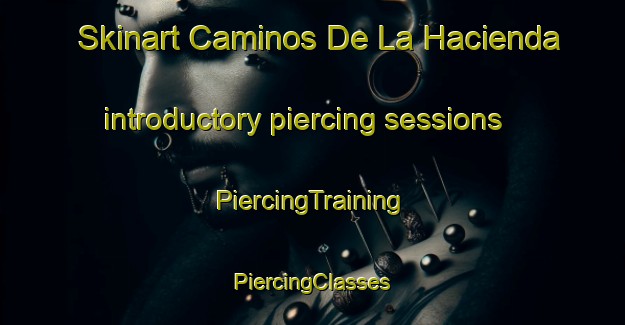 Skinart Caminos De La Hacienda introductory piercing sessions | #PiercingTraining #PiercingClasses #SkinartTraining-Mexico