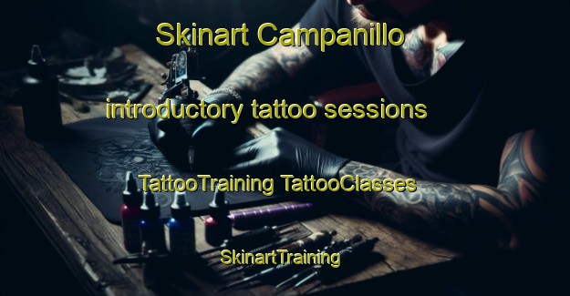 Skinart Campanillo introductory tattoo sessions | #TattooTraining #TattooClasses #SkinartTraining-Mexico