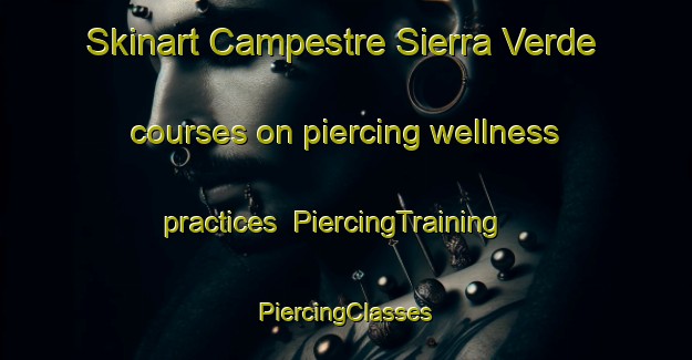 Skinart Campestre Sierra Verde courses on piercing wellness practices | #PiercingTraining #PiercingClasses #SkinartTraining-Mexico