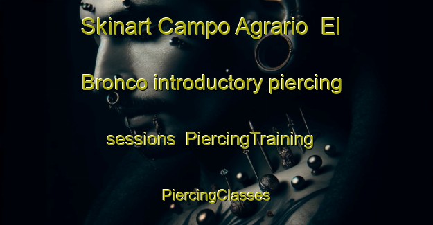 Skinart Campo Agrario  El Bronco introductory piercing sessions | #PiercingTraining #PiercingClasses #SkinartTraining-Mexico