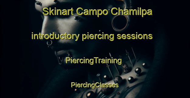 Skinart Campo Chamilpa introductory piercing sessions | #PiercingTraining #PiercingClasses #SkinartTraining-Mexico