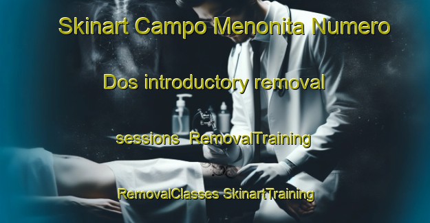 Skinart Campo Menonita Numero Dos introductory removal sessions | #RemovalTraining #RemovalClasses #SkinartTraining-Mexico