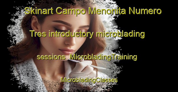 Skinart Campo Menonita Numero Tres introductory microblading sessions | #MicrobladingTraining #MicrobladingClasses #SkinartTraining-Mexico