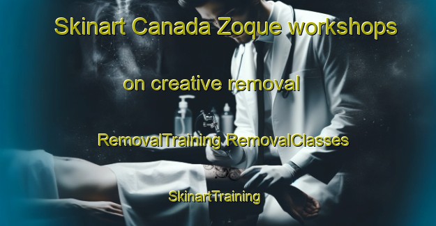 Skinart Canada Zoque workshops on creative removal | #RemovalTraining #RemovalClasses #SkinartTraining-Mexico