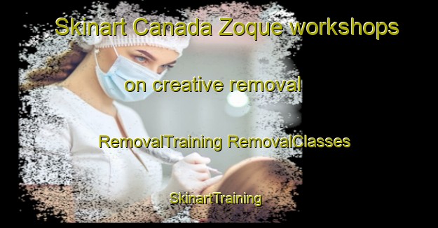 Skinart Canada Zoque workshops on creative removal | #RemovalTraining #RemovalClasses #SkinartTraining-Mexico