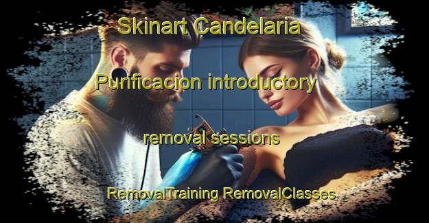 Skinart Candelaria Purificacion introductory removal sessions | #RemovalTraining #RemovalClasses #SkinartTraining-Mexico