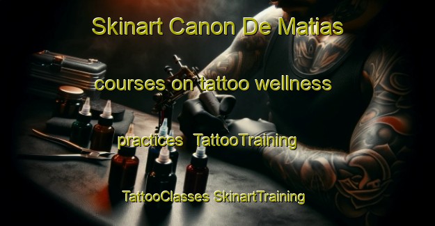 Skinart Canon De Matias courses on tattoo wellness practices | #TattooTraining #TattooClasses #SkinartTraining-Mexico