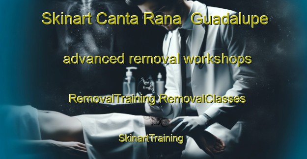 Skinart Canta Rana  Guadalupe advanced removal workshops | #RemovalTraining #RemovalClasses #SkinartTraining-Mexico