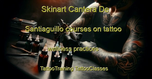 Skinart Cantera De Santiaguillo courses on tattoo wellness practices | #TattooTraining #TattooClasses #SkinartTraining-Mexico