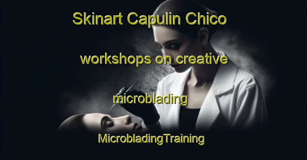 Skinart Capulin Chico workshops on creative microblading | #MicrobladingTraining #MicrobladingClasses #SkinartTraining-Mexico