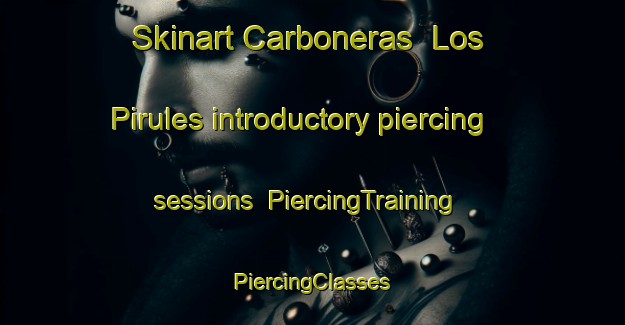 Skinart Carboneras  Los Pirules introductory piercing sessions | #PiercingTraining #PiercingClasses #SkinartTraining-Mexico