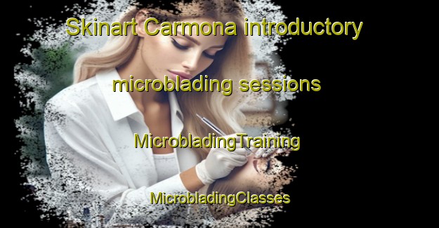 Skinart Carmona introductory microblading sessions | #MicrobladingTraining #MicrobladingClasses #SkinartTraining-Mexico