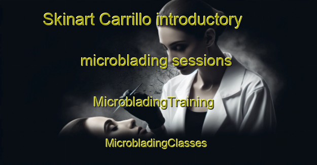 Skinart Carrillo introductory microblading sessions | MicrobladingTraining | MicrobladingClasses | SkinartTraining-Mexico